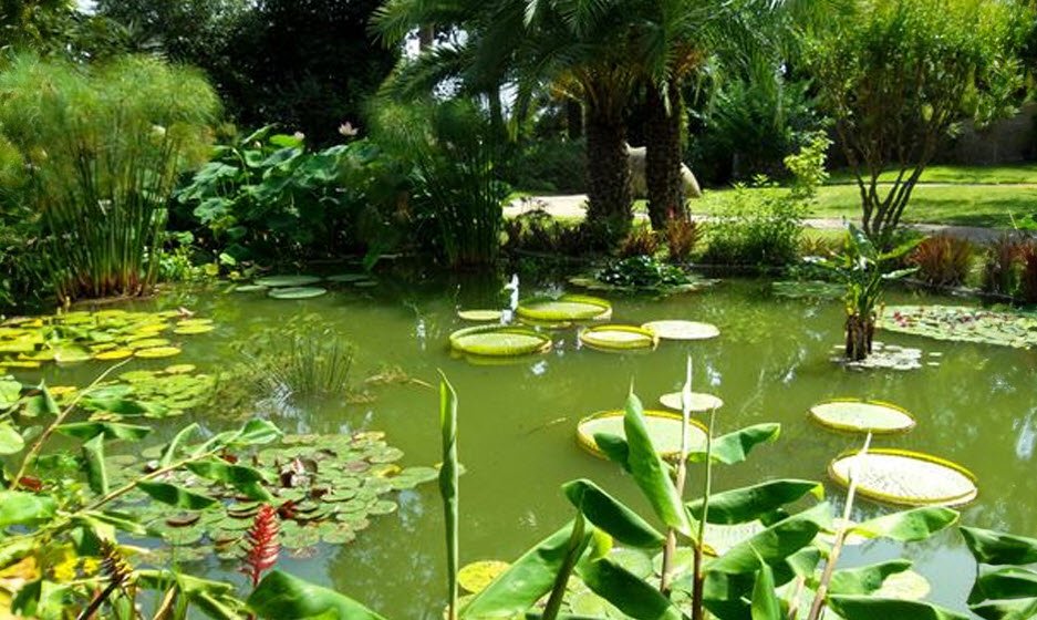 Jardin botanique du val d'Yser, Bambecque, France, France